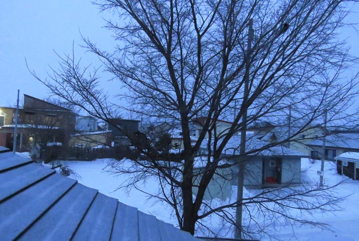 webnews�����̖k���^���̋�