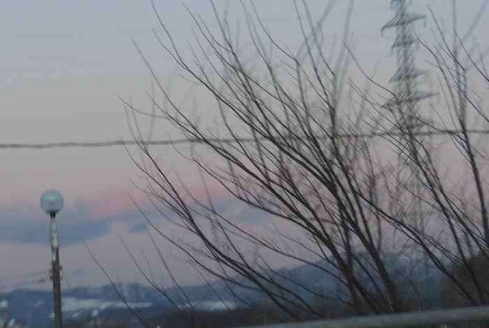 webnews�����̖k���^�m���R����ɂ͊J���ǂ̖������p�{�݂�����