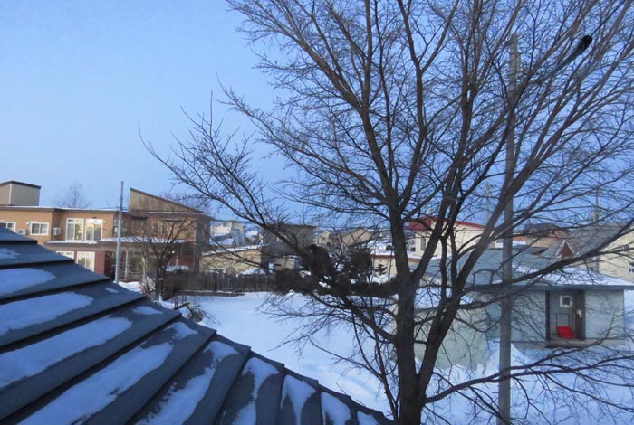 webnews�����̖k���^���̋�