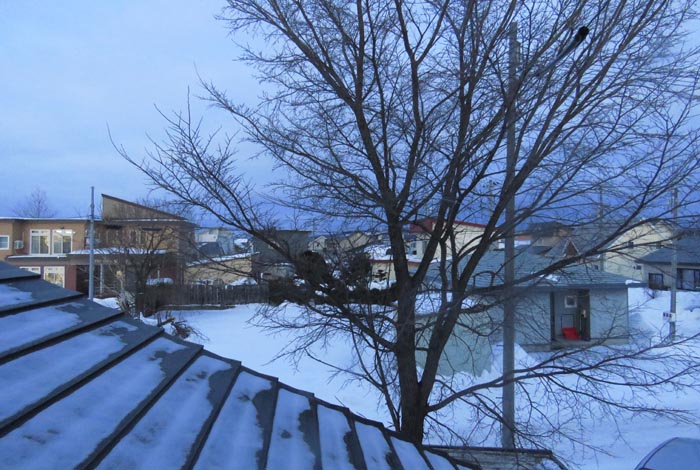 webnews�����̖k���^���̋�