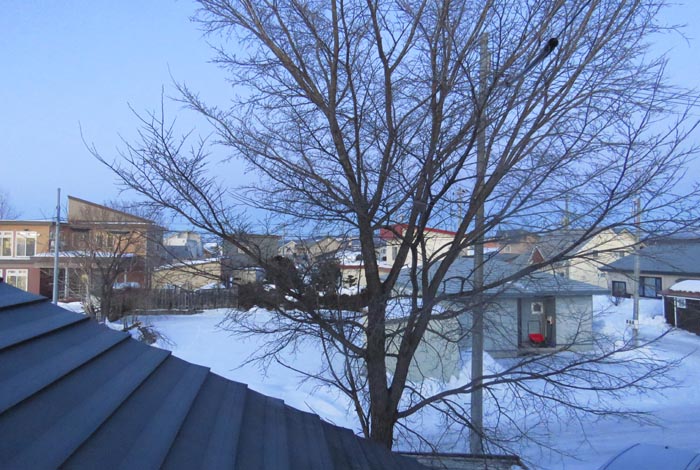 webnews�����̖k���^���̋�