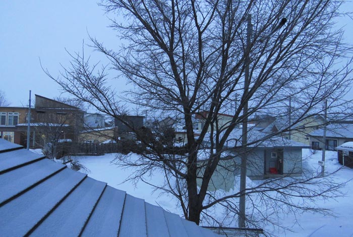 webnews�����̖k���^���̋�