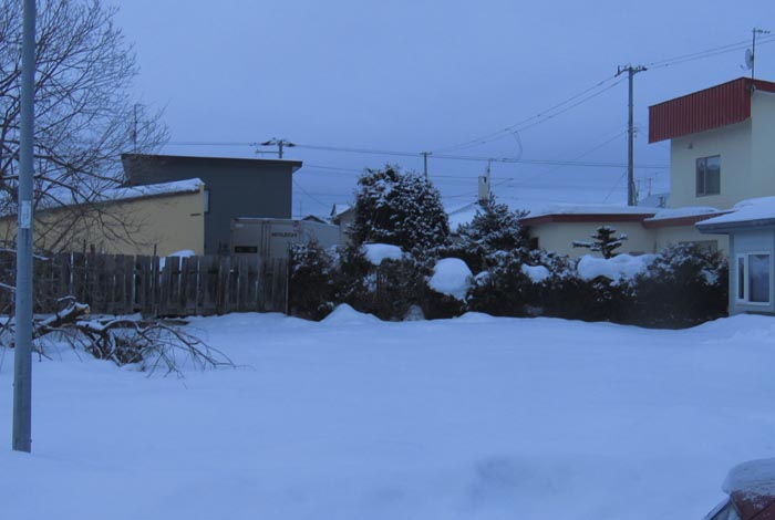 webnews�����̖k��