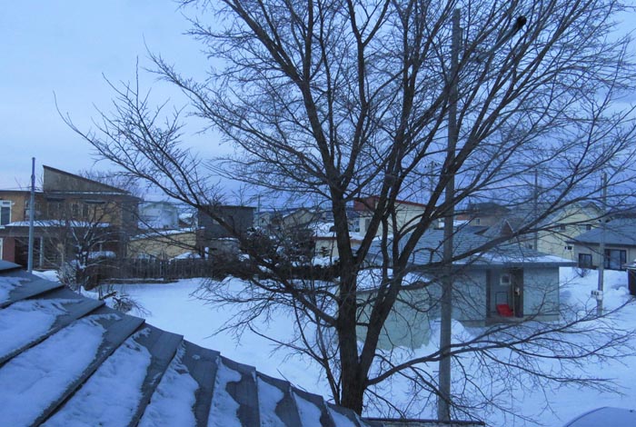 webnews�����̖k���^���̋�