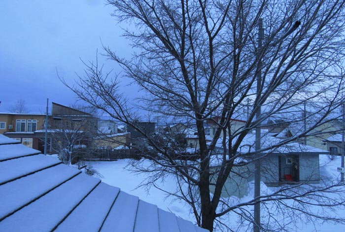 webnews�����̖k���^���̋�