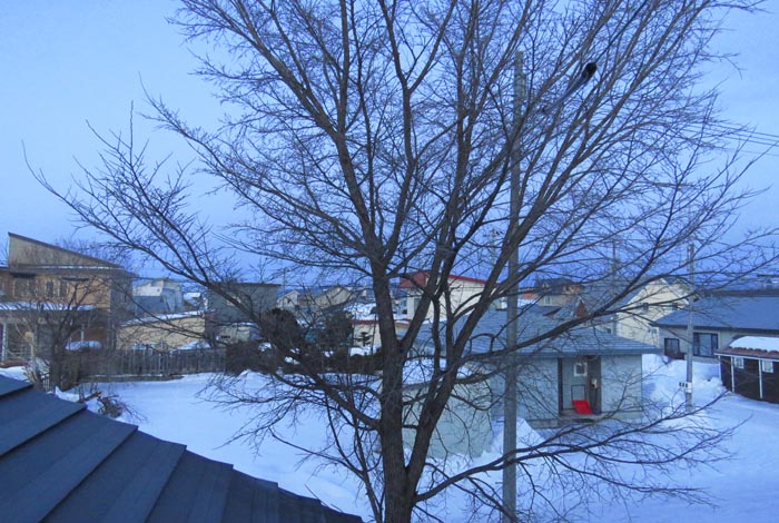 webnews�����̖k���^���̋�