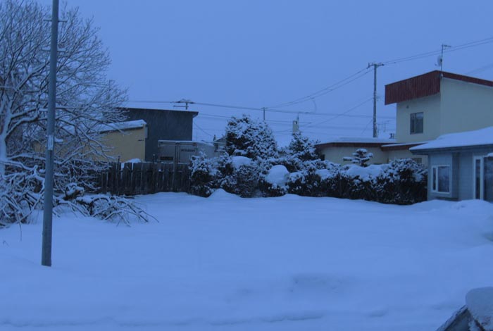 webnews�����̖k��