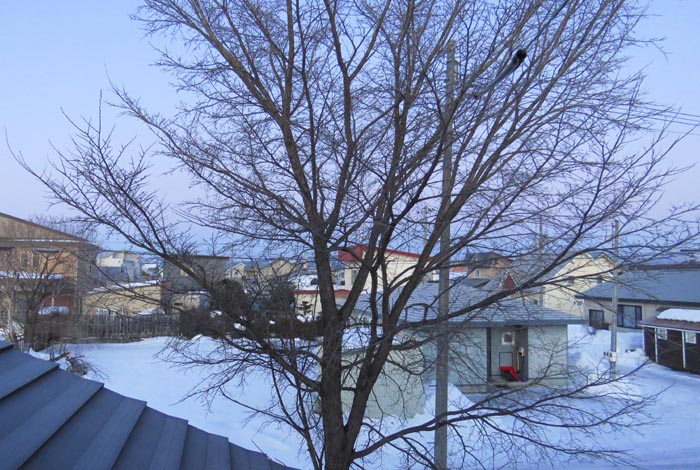 webnews�����̖k���^���̋�