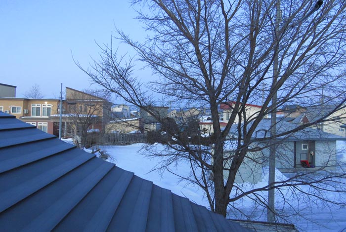 webnews�����̖k���^���̋�