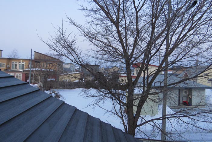 webnews�����̖k���^���̋�