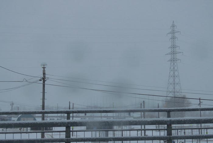 webnews�����̖k���^�m���R����ɂ͊J���ǂ̖������p�{�݂�����