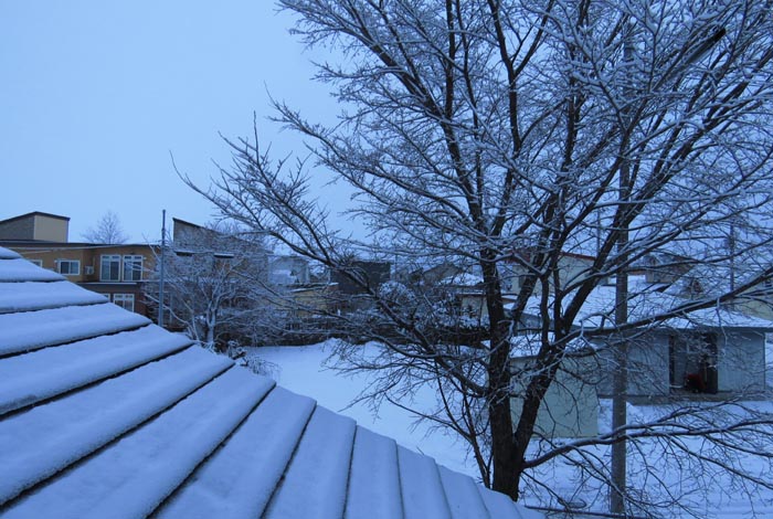 webnews�����̖k���^���̋�