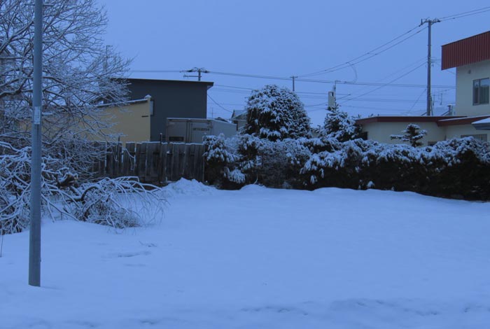 webnews�����̖k��